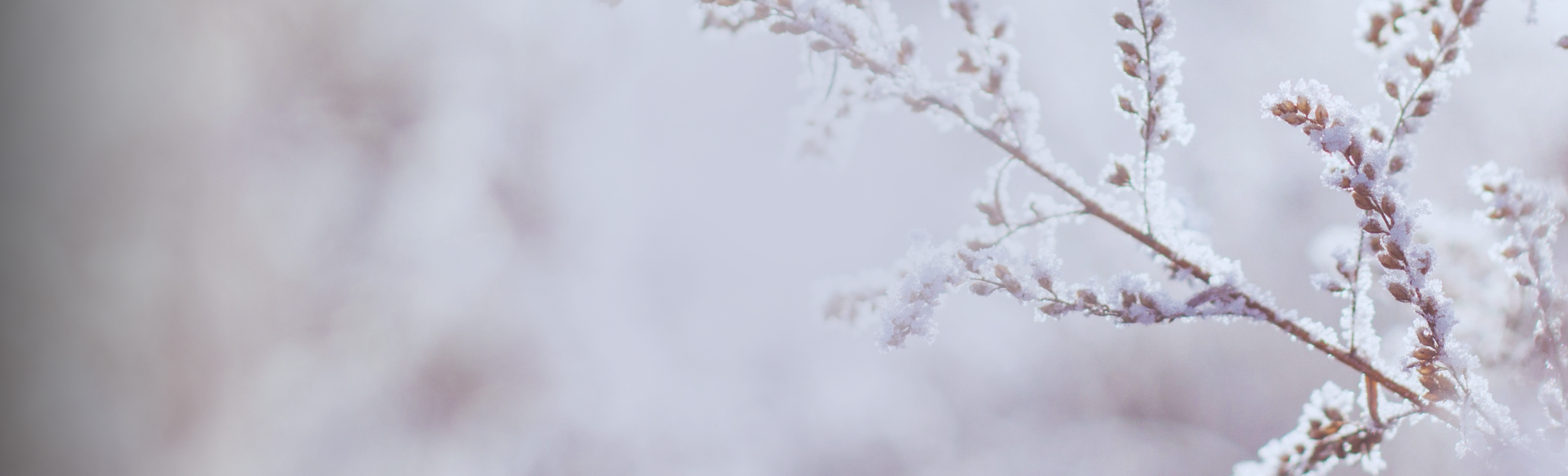 Buddha-Haus München